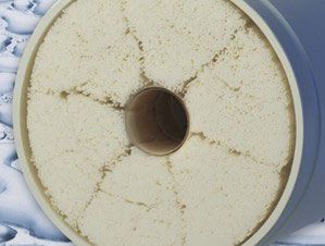 Crosscut Membrane View