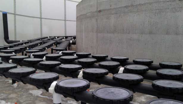 Ecologix IBR Coarse air diffusers.