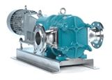 Rotary Lobe Sludge Transfer Pump Skids